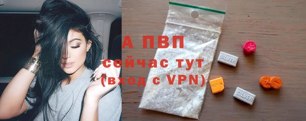 соль ск Новодвинск