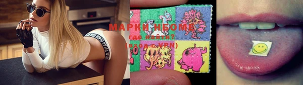 хмурый Алзамай