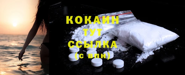 гидропоника Новозыбков