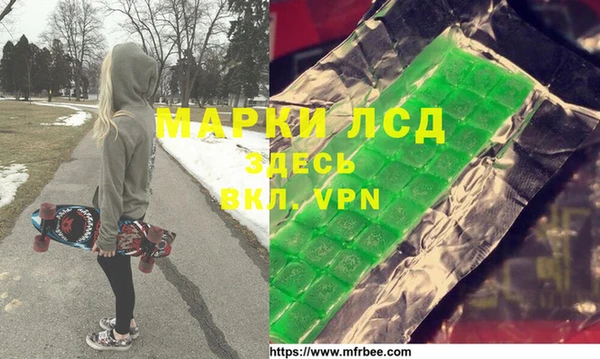 хмурый Алзамай