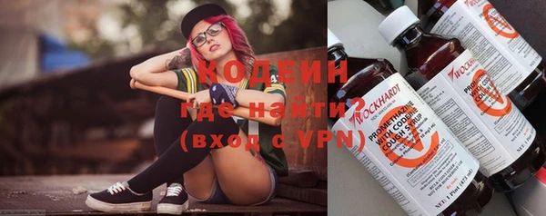 хмурый Алзамай